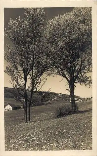 Ak Bad Kohlgrub in Oberbayern, Teilansicht