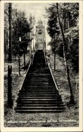 Ak Bad Schmiedeberg (Bezirk Halle) Dübener Heide, Aussichtsturm, Treppe, Bäume, Schwarz-Weiß-Foto
