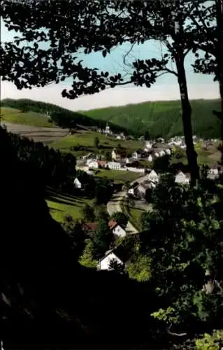 Ak Warmensteinach Oberfranken Bayern, Aussicht über  Fichtelgebirge, Höllfelsen