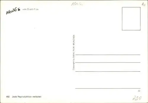 Ak Mecki der Igel, Besen, Spinne, Einer spinnt immer