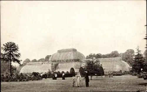 Ak Kew London Borough of Richmond upon Thames, Große Palmenhaus, Kew Gardens, Parklandschaft, Men