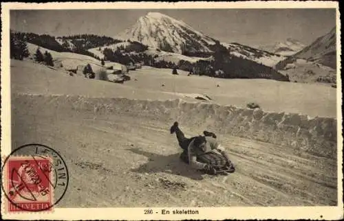 Ak Wintersport, Schlittenfahrt, Im Hintergrund ein Berggipfel