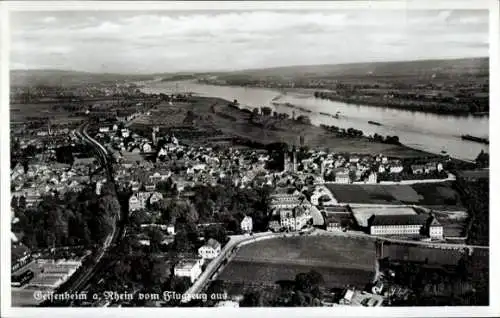 Ak Geisenheim am Rhein Hessen, Luftaufnahme  Rhein, Flusslandschaft, Gebäude