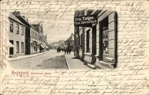 Ak Bad Segeberg in Holstein, Straße mit Häusern, Fabrik, Menschen,  