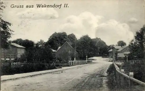 Ak Wakendorf II Kreis Segeberg, Gruss aus  ländliche Szene, Straße, Häuser