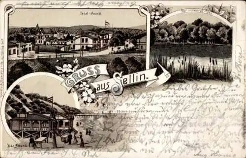 Ak Ostseebad Sellin auf Rügen, Gesamtansicht von  Der Strand, Der Schwarzsee, Blumenornament
