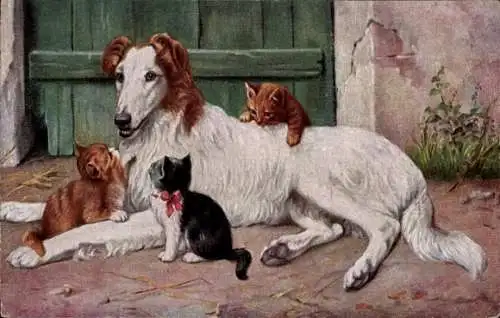 Künstler Ak Hund mit drei Katzen, Portrait