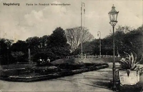 Ak Magdeburg an der Elbe, Partie im Friedrich Wilhelms-Garten