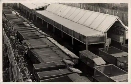 Foto Ak Dänemark, Fischerhafen