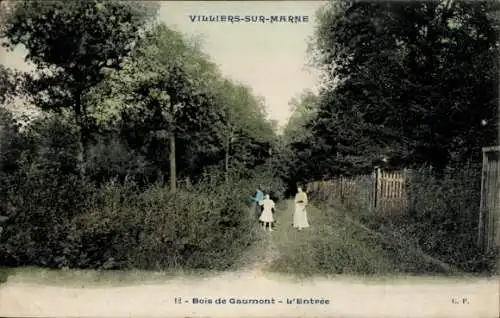 Ak Villiers sur Marne Val de Marne, Bois de Gaumont, L'Entree