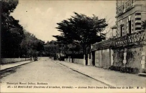 Ak Le Moulleau Gironde, Phototypie von Marcel Delboy, Avenue Notre-Dame des Passes, Baumreihe