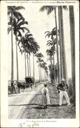 Ak Martinique, Eine Straße, Kutsche