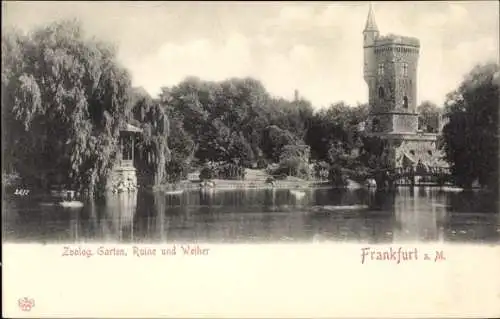 Ak Frankfurt am Main, Zoologischer Garten, Ruine, Weiher, Turm