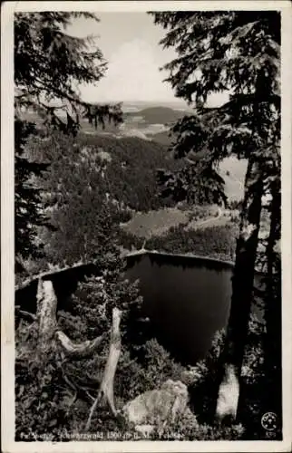 Ak Feldberg im Schwarzwald, Feldsee