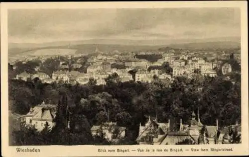Ak Wiesbaden in Hessen, Stadtansicht, Blick vom Bingert,  Architektur, Natur