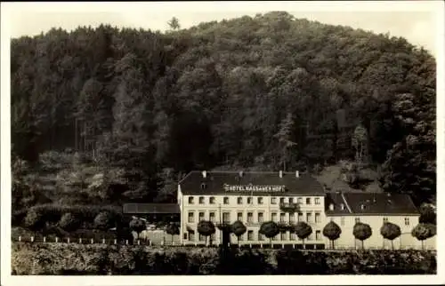 Ak Nassau an der Lahn, Hotel Nassauer Hof, umgeben von Bäumen, Berg im Hintergrund
