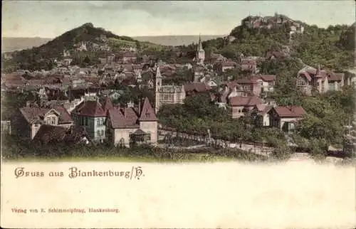 Ak Blankenburg am Harz, Blick auf  Häuser, Landschaft, Bergkulisse