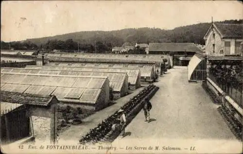 Ak Fontainebleau Seine et Marne, Glasgewächshäuser, Landschaft, Personen, Gebäude