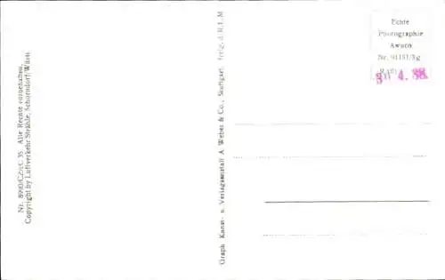 Ak Immenstaad am Bodensee, Luftaufnahme von  Bodensee, Häuser, Wasser