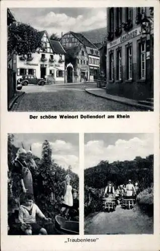 Ak Dollendorf Königswinter am Rhein, Straßenpartie, Gasthaus, Traubenlese