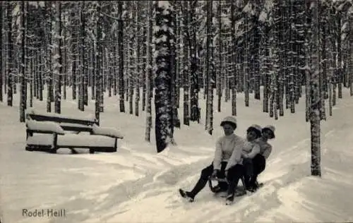 Ak Gruß vom Wintersport, Rodel-Heil, Schlittenfahrer