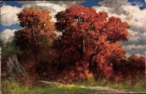 Künstler Ak Rüdisühli, E., Rotbuchen