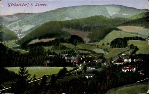 Ak Sokołowsko Görbersdorf Schlesien, Panorama