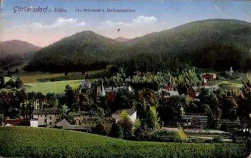 Ak Sokołowsko Görbersdorf Schlesien, Dr. Brehmers Heilanstalten