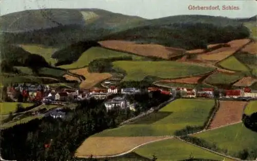 Ak Sokołowsko Görbersdorf Schlesien, Gesamtansicht