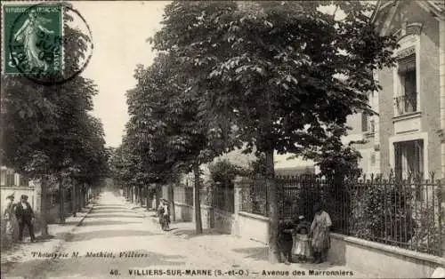 Ak Villiers sur Marne Val de Marne, Avenue des Marronniers