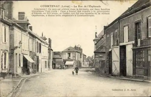 CPA Courtenay Loiret, La Rue de Esplanade