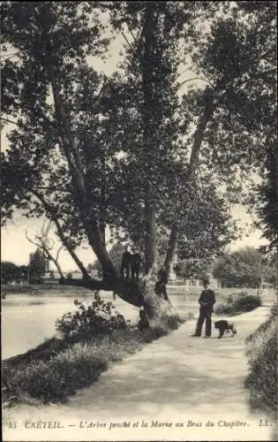 Ak Créteil Val de Marne, L'Arbre penché, Marne, Spaziergänger, Hund, Kletterer