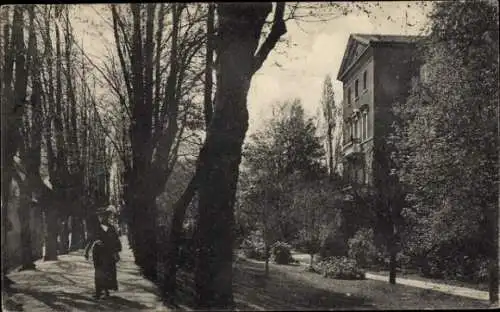 Ak Uerdingen Krefeld am Niederrhein, Straße mit Bäumen, Gebäude im Hintergrund, Spaziergängerin