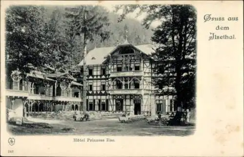 Ak Ilsenburg am Nordharz, Hotel Prinzess Ilse, Fachwerk, Balkone