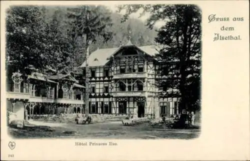 Ak Ilsenburg am Nordharz, Hotel Prinzess Ilse, Fachwerk, Balkone