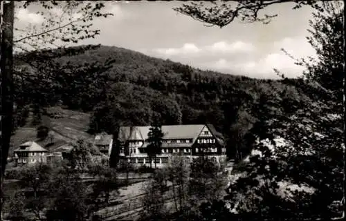Ak Seeheim Jugenheim an der Bergstraße, Gaststätte und Erholungsheim, Waldschloss, Landschaft, Bä