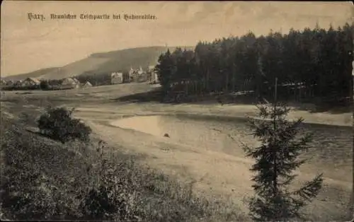 Ak Hahnenklee Bockswiese Goslar im Harz, Harz, Kranicher Teichpartie, Wald, Teich, Berglandschaft