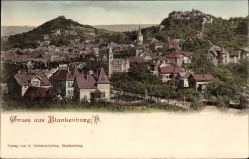 Ak Blankenburg am Harz, Ansicht von  viele Häuser, Grüntöne, Berg im Hintergrund