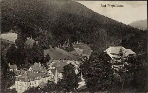 Ak Bad Rippoldsau Schapbach im Schwarzwald, Panoramaansicht, Berge, Gebäude, Bäume,  