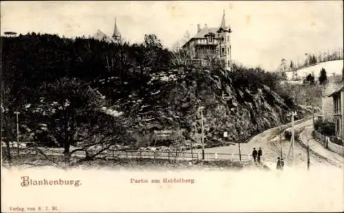 Ak Blankenburg am Harz, Heidelberg