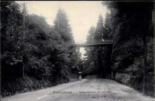 Ak Friedrichroda im Thüringer Wald, Seebachbrücke am Kurhaus, Straße, Bäume, Person mit Schirm