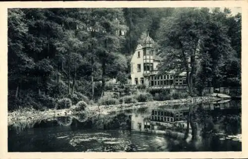 Ak Eger Region Karlsbad, Blick zum Insel Mühlerl