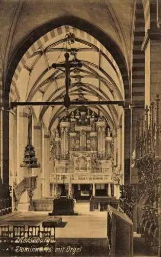 Ak Merseburg an der Saale, Dominneres mit Orgel