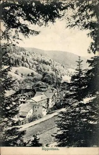 Ak Bad Rippoldsau Schapbach im Schwarzwald, Teilasicht
