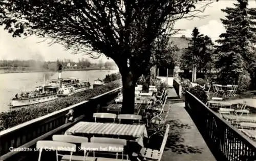 Ak Dresden Pillnitz, Gaststätte und Café Elbblick, Schiffe auf dem Wasser, Restaurantterrasse