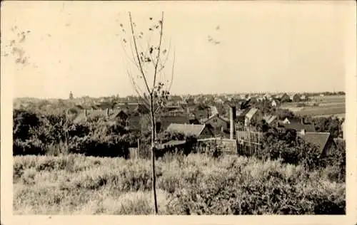Ak Teutschenthal im Saalekreis, Blick auf  Wohnhäuser, Baum in der Bildmitte, ländliche Atmosphär