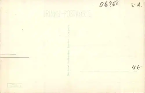 Ak Querfurt im Saalekreis, Teilansicht