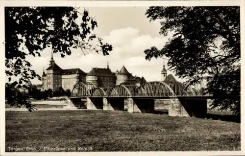 Ak Torgau an der Elbe, Brücke, Schloss, Elbe,  Architektur, Natur