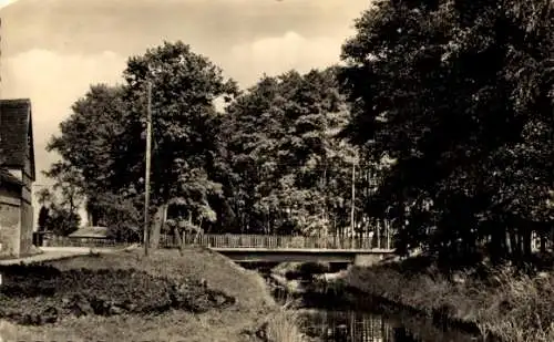 Ak Schönewalde in Brandenburg, Partie am Kolk, Blick auf Brücke