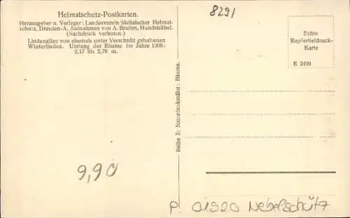 Ak Piskowitz Nebelschütz, Lindenallee